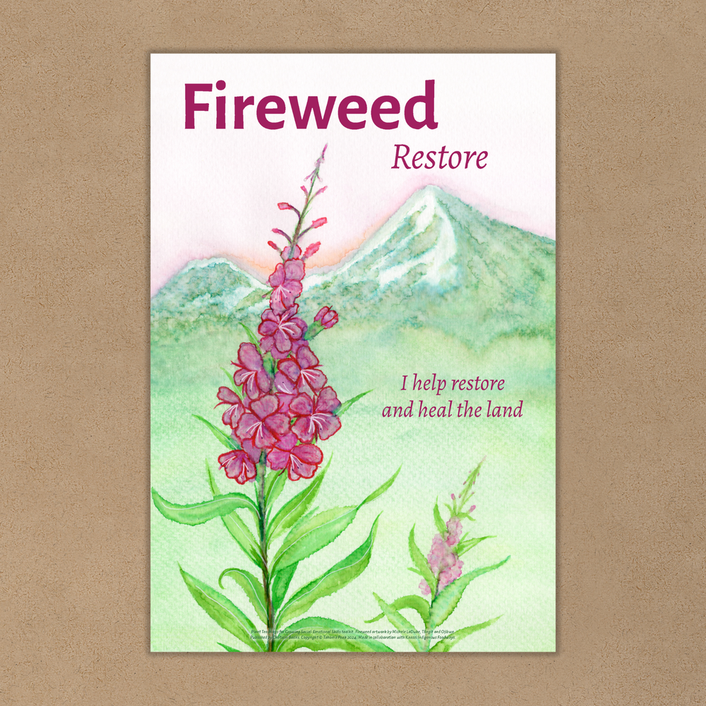 Plant Teachings Classroom Poster Set — Chatwin Books